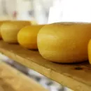 Правительство: По итогам 2021 года в Калининградской области произведено 4 тысячи тонн сыра