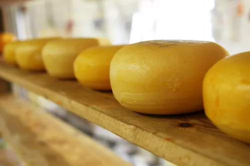 Правительство: По итогам 2021 года в Калининградской области произведено 4 тысячи тонн сыра